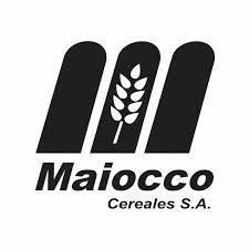 MAIOCCO